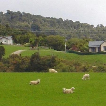 Hilltop Accommodation Catlins Papatowai Bagian luar foto