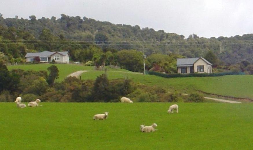 Hilltop Accommodation Catlins Papatowai Bagian luar foto