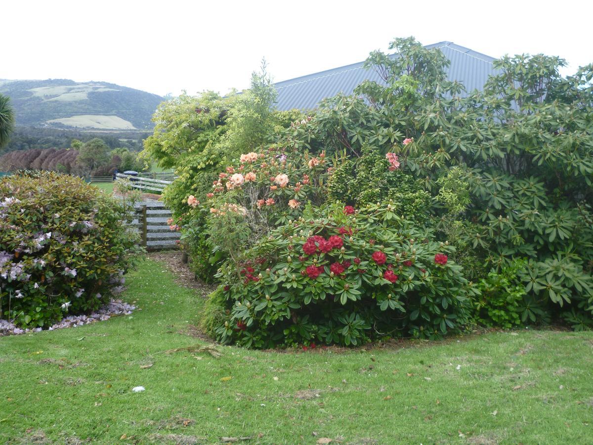 Hilltop Accommodation Catlins Papatowai Bagian luar foto