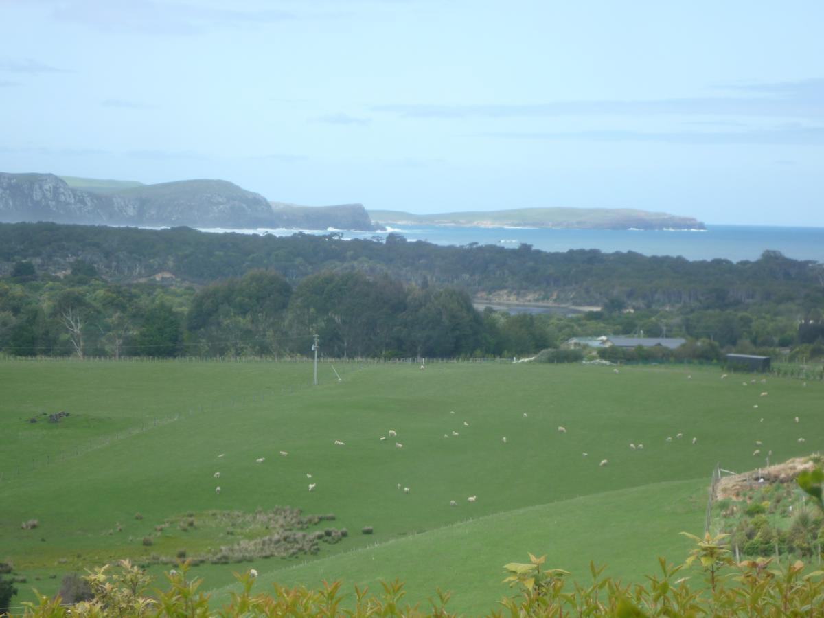 Hilltop Accommodation Catlins Papatowai Bagian luar foto
