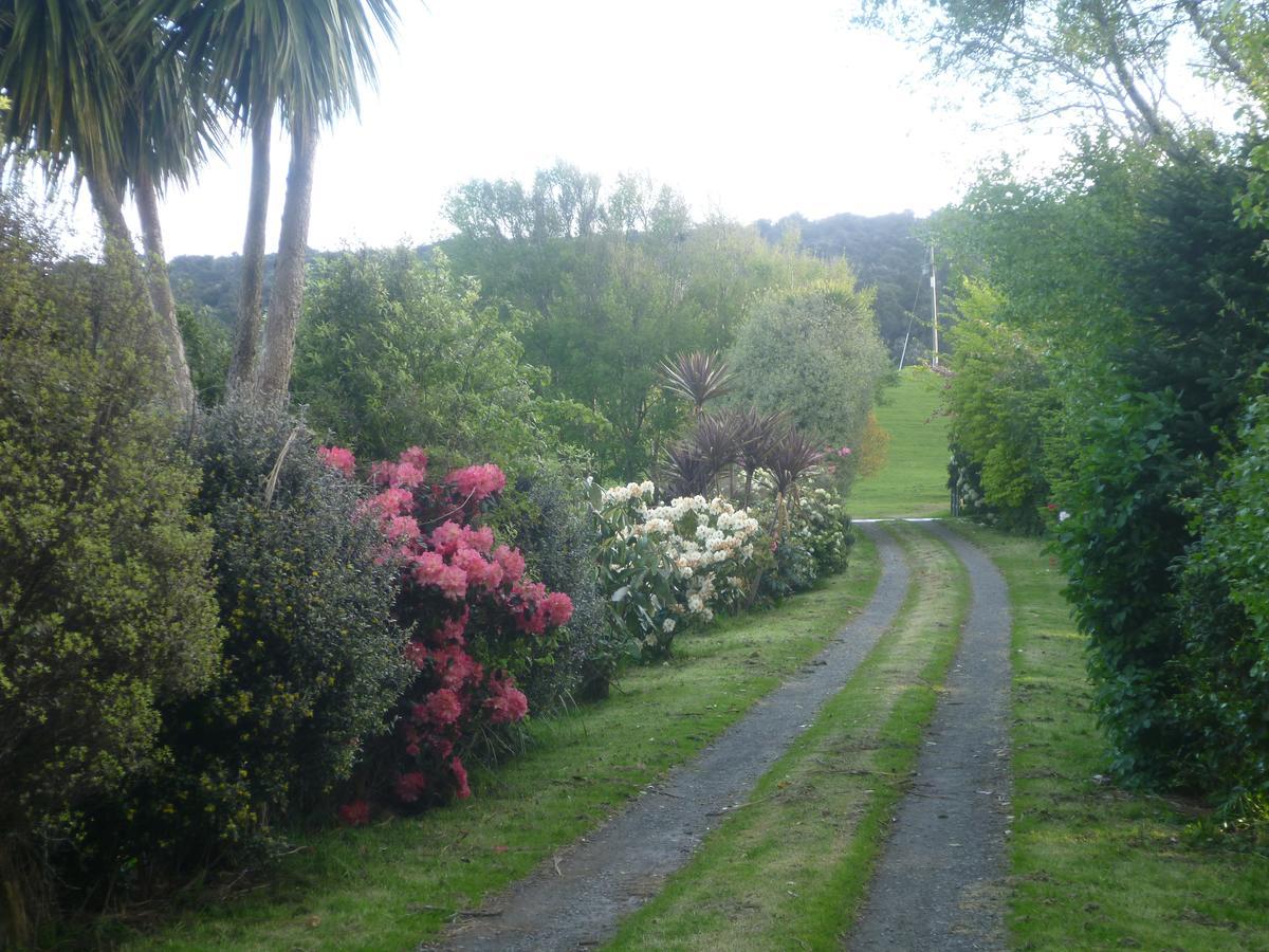 Hilltop Accommodation Catlins Papatowai Bagian luar foto